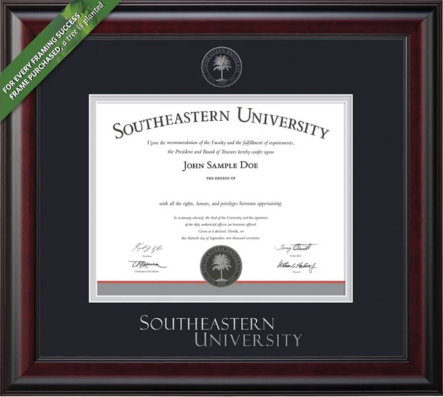 Southeastern University 11'' x 14'' Classic Diploma Frame