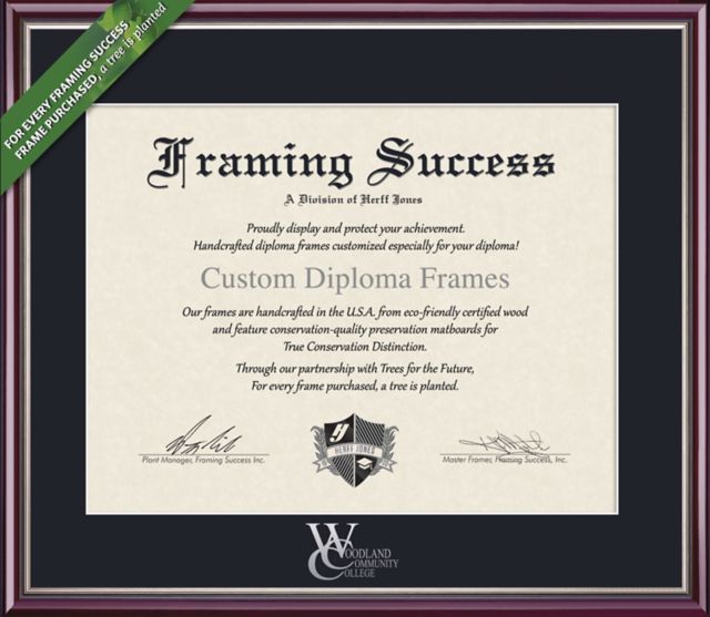 Framing Success Scholastic 8.5 x 11 Diploma with Single mat- ONLINE ONLY
