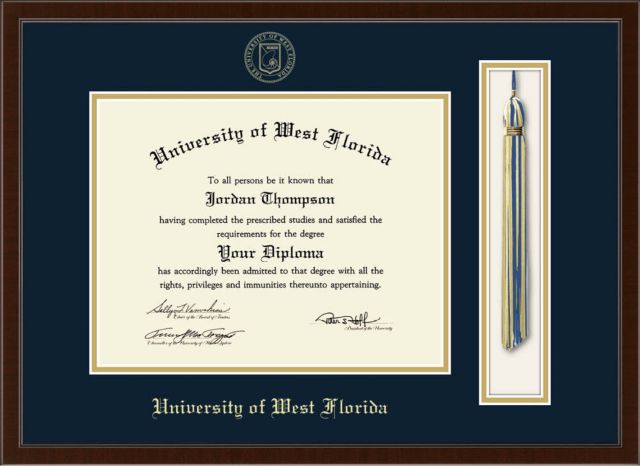 Church Hill Classics Tassel, 8.5x11, Bachelors, Masters, PhD, Diploma Frame - ONLINE ONLY