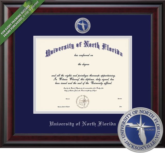 Framing Success Classic 11 x 14 MA/Doc Diploma with Double mat and Colored Medallion