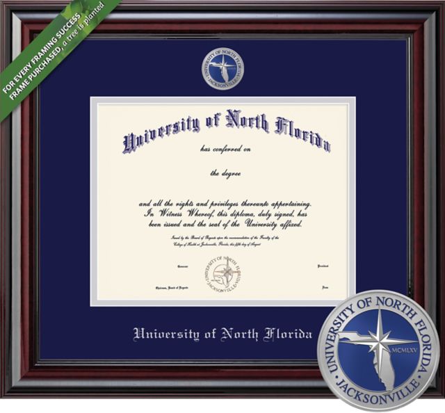 Framing Success Elite 11 x 14 MA/Doc Diploma with Double mat and Colored Medallion