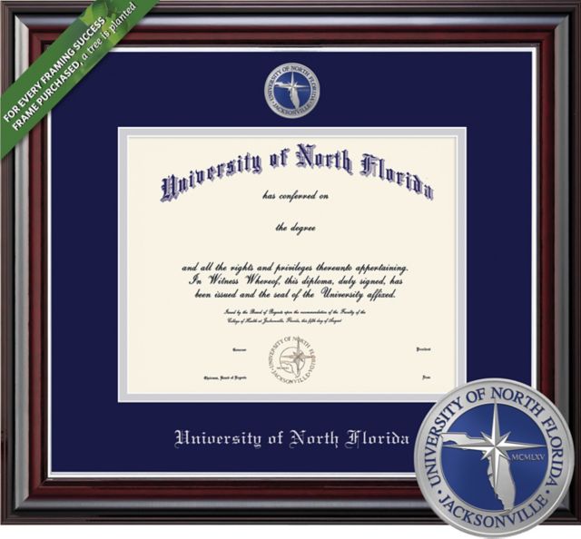 Framing Success Jefferson 11 x 14 MA/Doc Diploma with Double mat and Colored Medallion