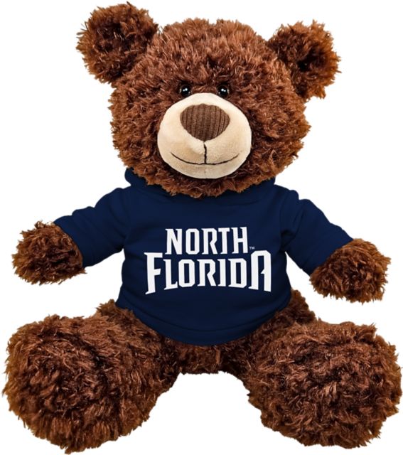 University of North Florida 11" Plush Bear