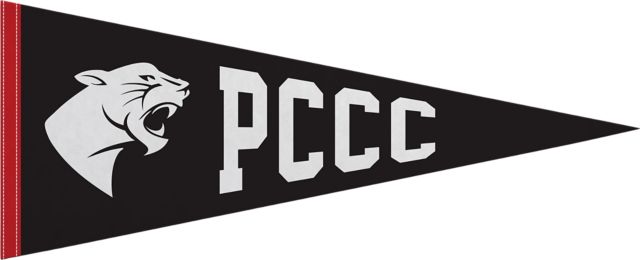 Passaic County Community College 12x30 Panthers Pennant
