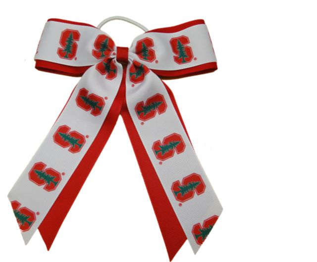 Stanford University Child Cheer Pony