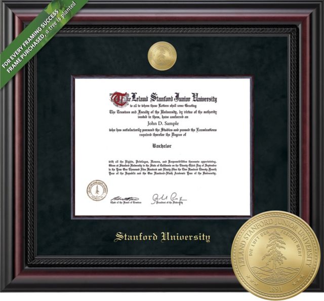 Framing Success 8.5 x 11 Diploma with BlackSuede mat and Wood Fillet with gold-minted medallion - ONLINE ONLY