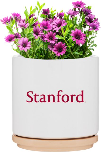Stanford University Ceramic Planter