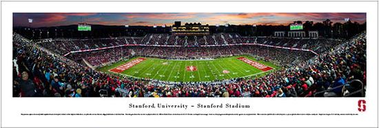 Stanford Cardinal Poster Print Youth