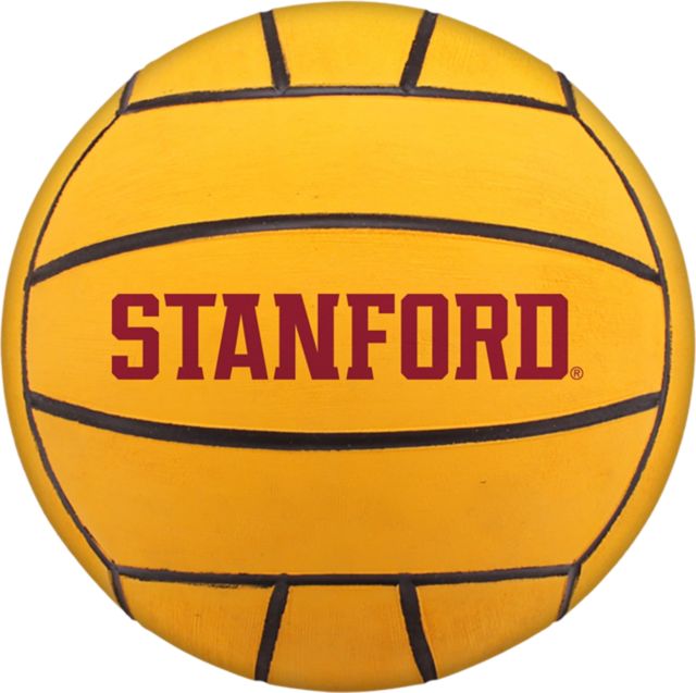 Stanford University Water Polo Ball