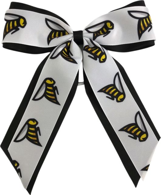 Savannah College of Art and Design Child Cheer Pony