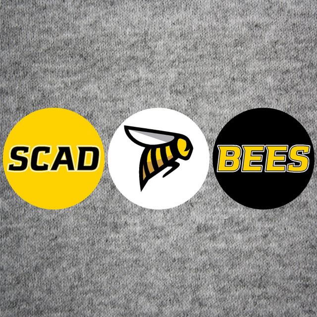 Savannah College of Art and Design Bees 3-Pack Mini Button