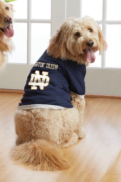 notre dame pet jersey