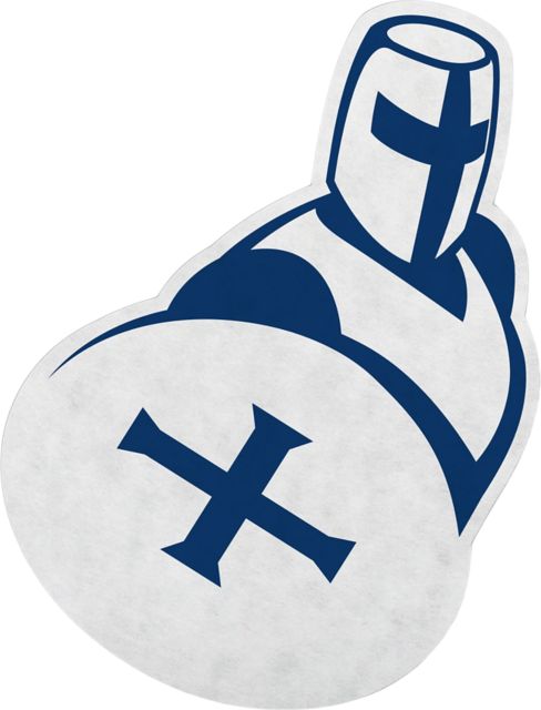 University of Dallas 18x18 Pennant