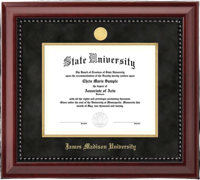 James Madison University 11.75x14 Frame