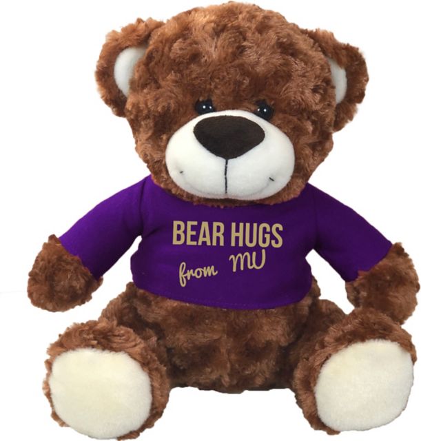 dark purple teddy bear
