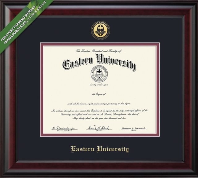 Framing Success Classic 8.5 x 11 BA Diploma with Double mat - ONLINE ONLY