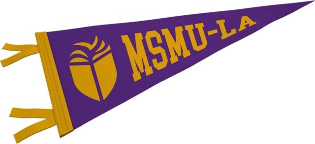 Mount Saint Mary's University 9'' x 24'' Pennant