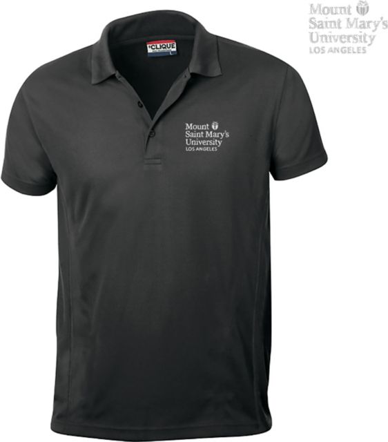 Mount Saint Mary's University Ice Polo