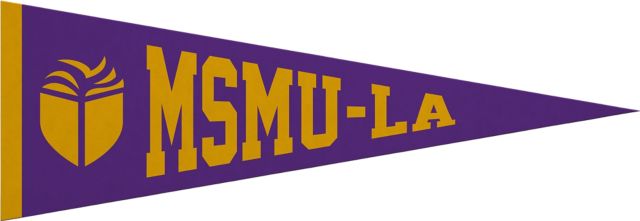 Mount Saint Mary's University 5x15 Pennant