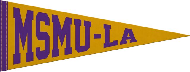 Mount Saint Mary's University 9x24 Pennant