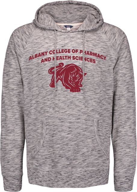 Albany College of Pharmacy Panthers Hooded Long Sleeve T-Shirt