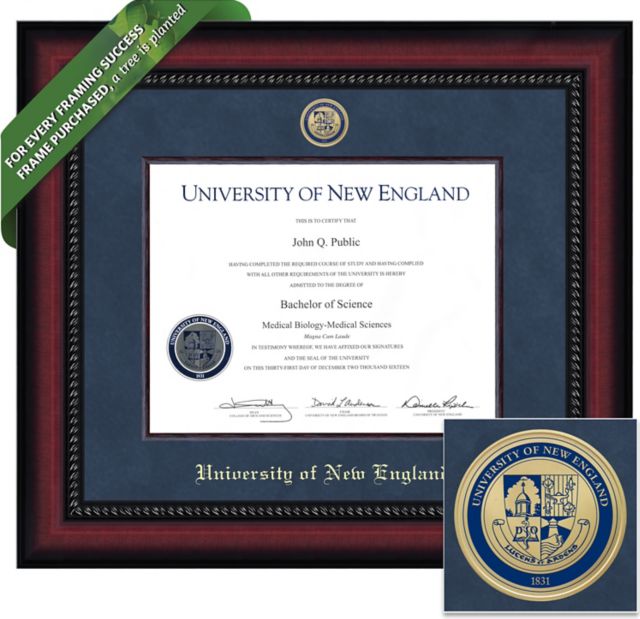 Framing Success Legacy 8.5 x 11 Diploma with Suede mat, Wood Fillet and Medallion - ONLINE ONLY