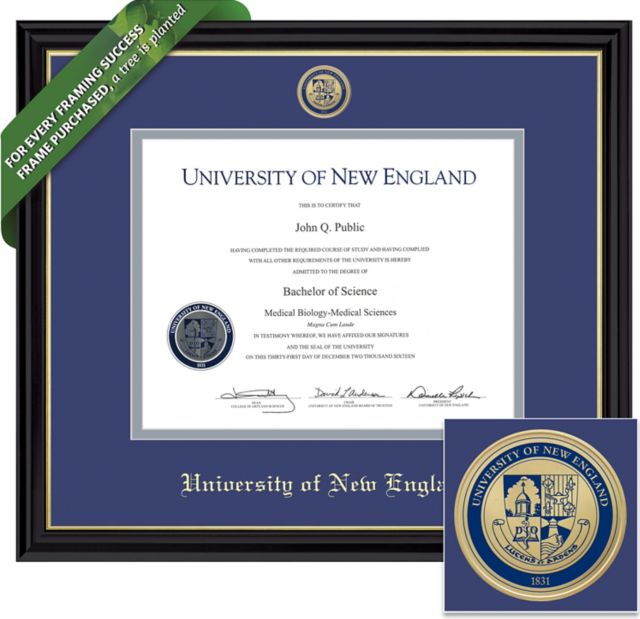 Framing Success Coronado 8.5 x 11 Diploma with Double mat and Medallion - ONLINE ONLY