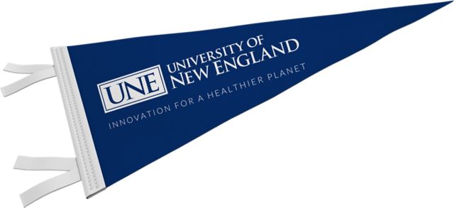University of New England 9'' x 24'' Pennant