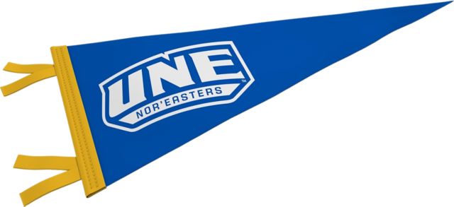 University of New England Nor'Easters 6'' x 15'' Pennant