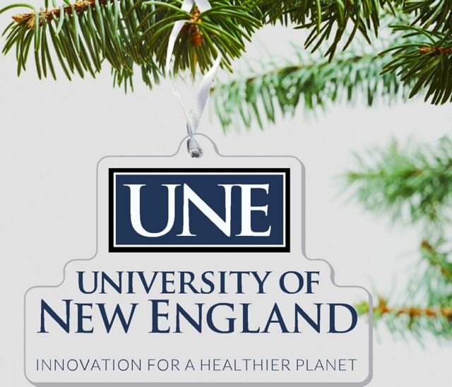 University of New England Nor'Easters 3 x 4 Ornament