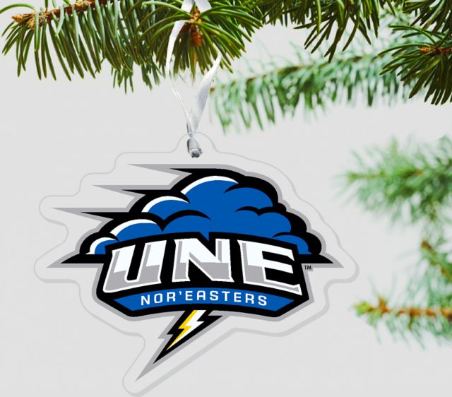 University of New England Nor'Easters 3'' x 4'' Etched Plexiglass Ornament