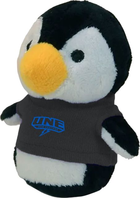 University of New England Nor'Easters Shorties