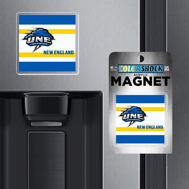 University of New England 7" Nor'Easters Magnet