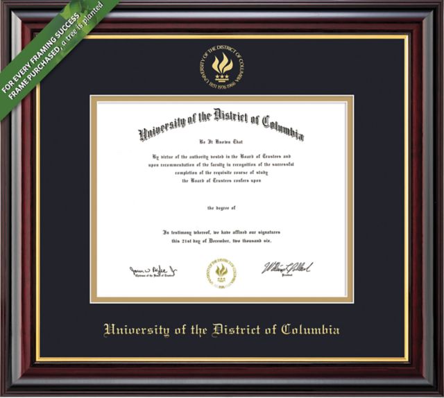 Framing Success Windsor 8.5 x 11 BA/MA/PhD Diploma with Double mat - ONLINE ONLY