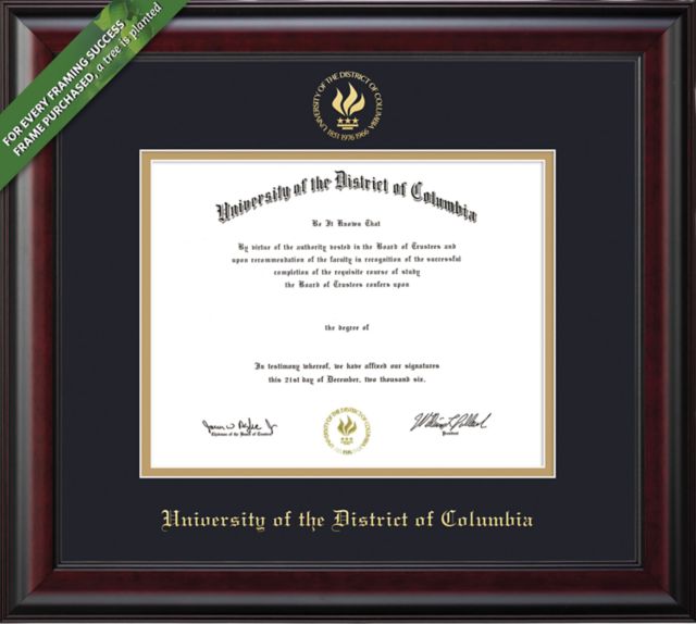 Framing Success Classic 8.5 x 11 BA/MA/PhD Diploma with Double mat - ONLINE ONLY