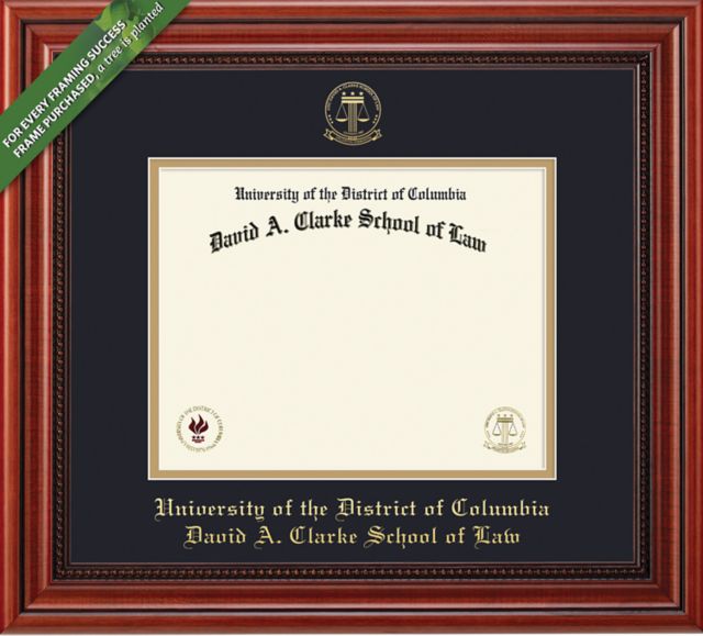 Framing Success Millennium 12 x 15 Law Diploma with Double mat - ONLINE ONLY