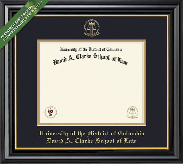 Framing Success Coronado 12 x 15 Law Diploma with Double mat - ONLINE ONLY