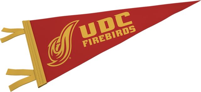 University of District of Columbia Firebirds 9'' x 24'' Pennant