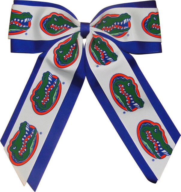 University of Florida Child Cheer Pony