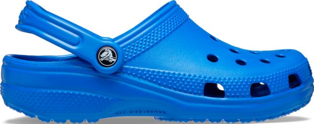 University of Florida Clogs