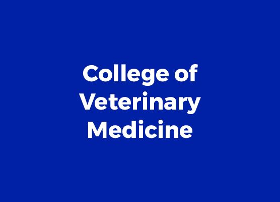 School of Veterinary Medicine