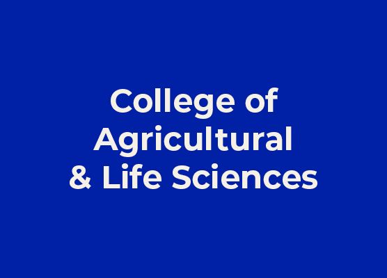 College of Agricultural and Life Sciences