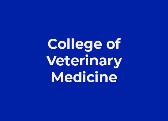 College of Veterinary Medicine