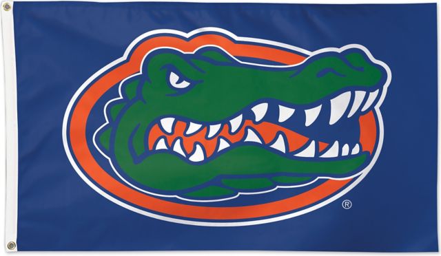 University Of Florida 3'X5' Deluxe Flag  - ONLINE ONLY