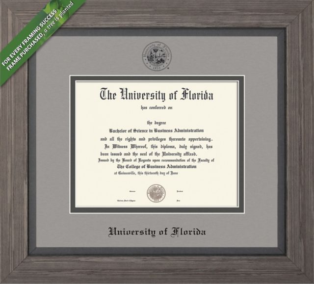 Framing Success 12 x 16 Diploma with Paloma and Moonrock mat and black embossed University seal - ONLINE ONLY