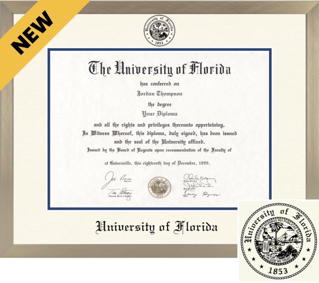 University of Florida ICON Light Champagne Diploma Frame