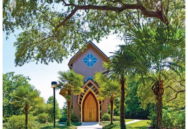 University of Florida 5x7" Postcard"