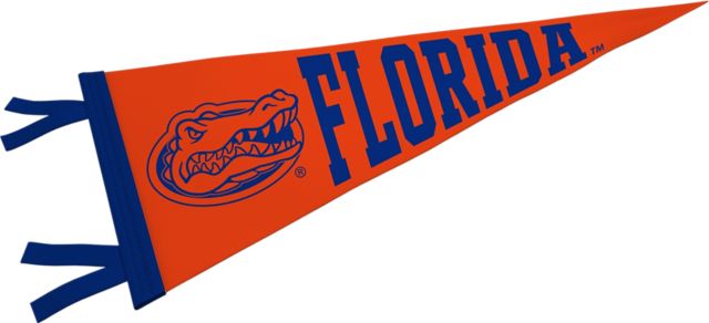 University of Florida 6'' x 15'' Pennant