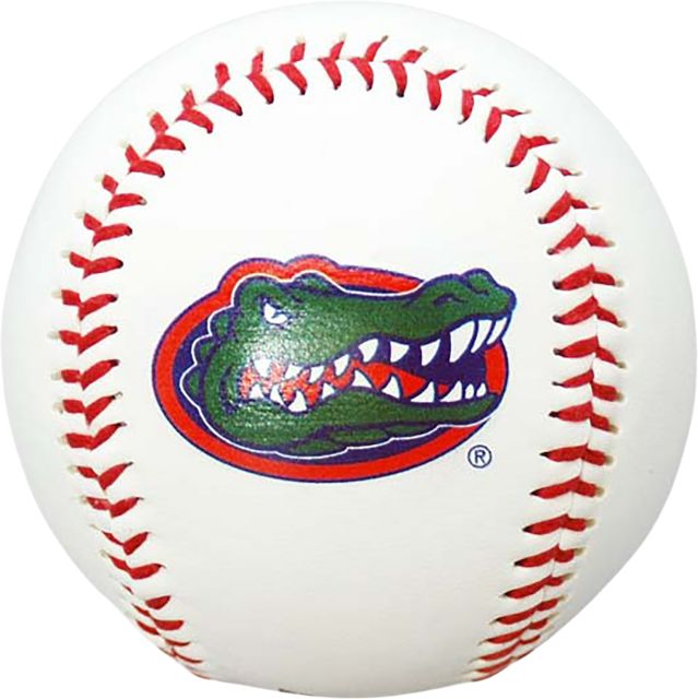 University of Florida Baseball Flag