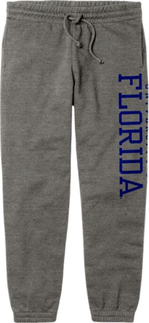 Florida gators 2024 grey sweatpants